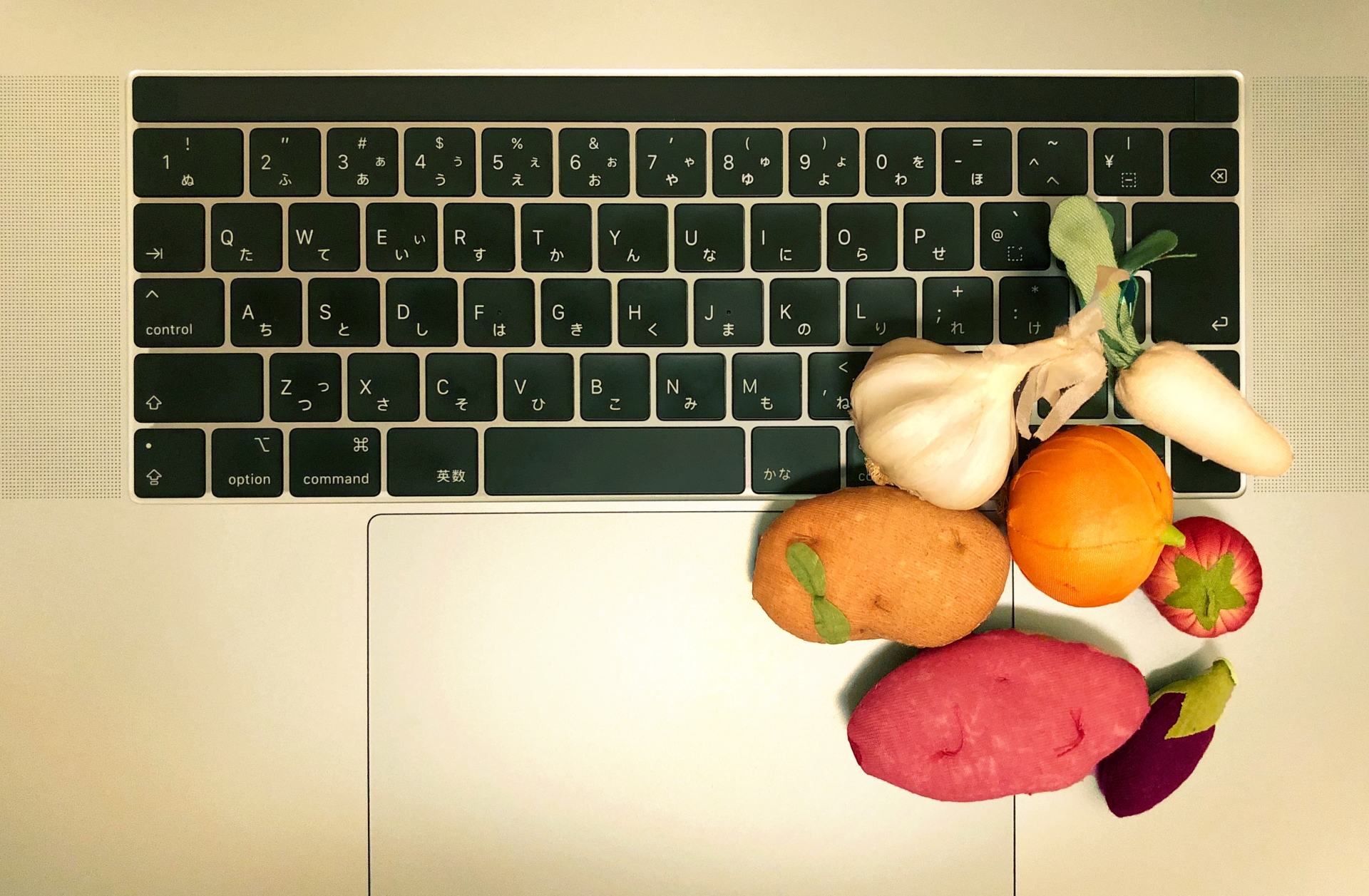 食品ECサイトの売上は商品画像で決まる！思わず食べたくなる写真の撮り方とは？